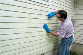 Best Aluminum Siding Installation  in Galva, IL